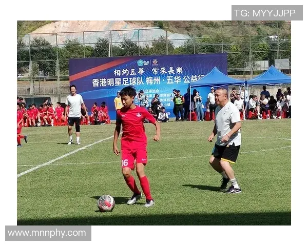 揭秘“电子发牌靴”：它真的能实时感知牌序并防止算牌吗？（电子发牌靴能否实时识别牌序并有效防算牌？真相解析）